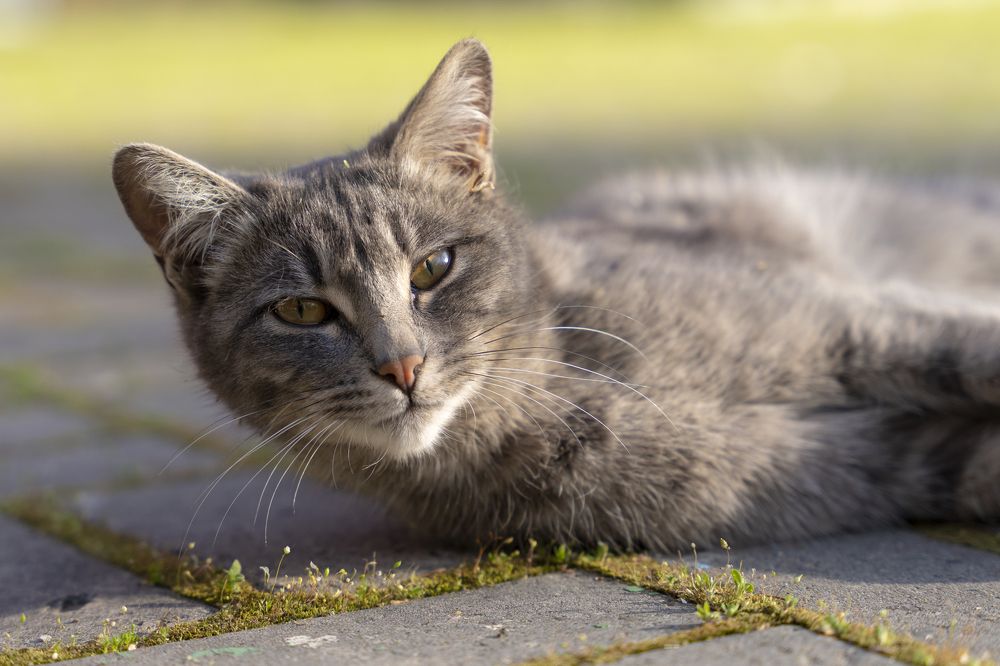 Photograph by Павел Сарвардинов