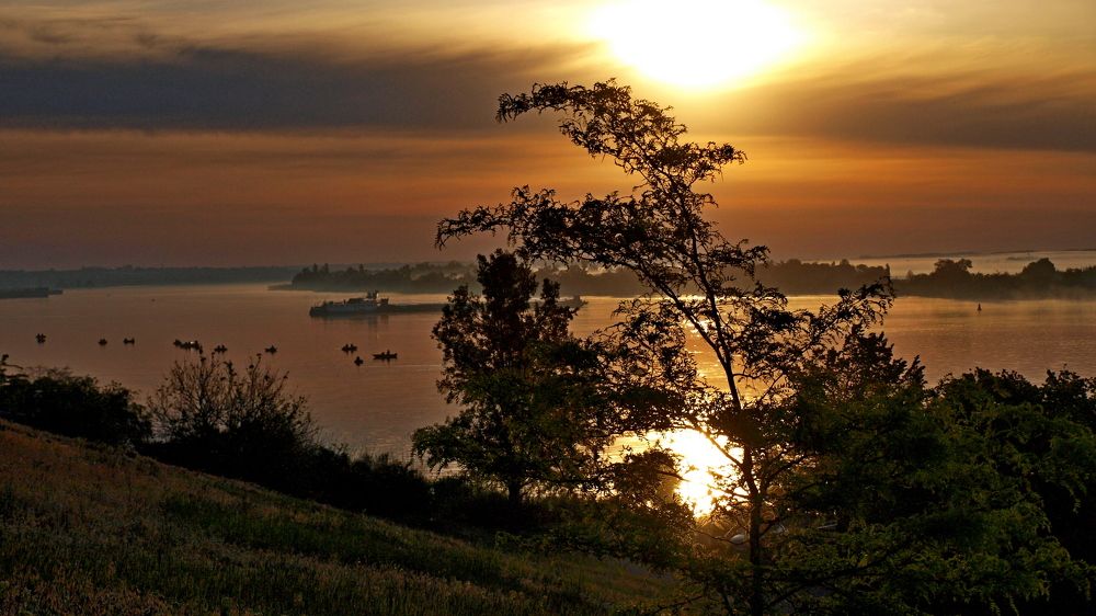 Photograph by Александр Петренко