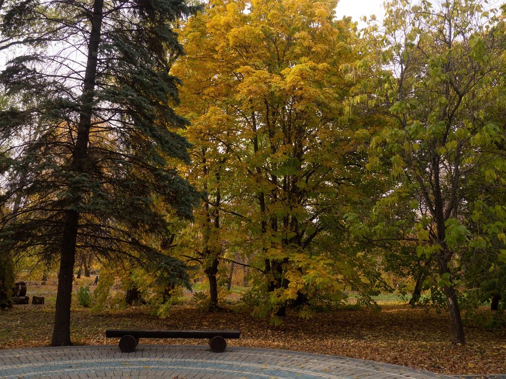 Photograph by Elena Khalizova