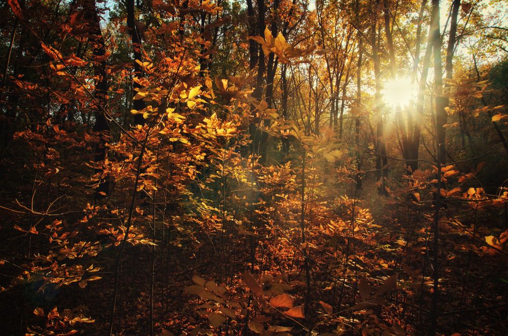 Photograph by Илья Игнашкин