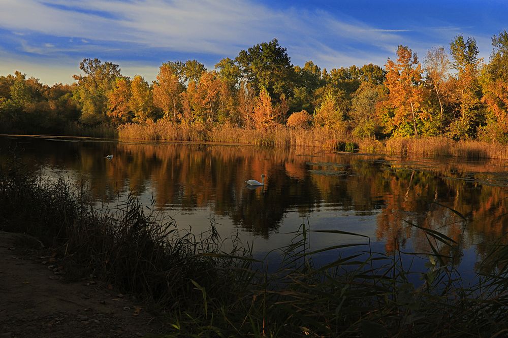 Photograph by Владимир Бурцев