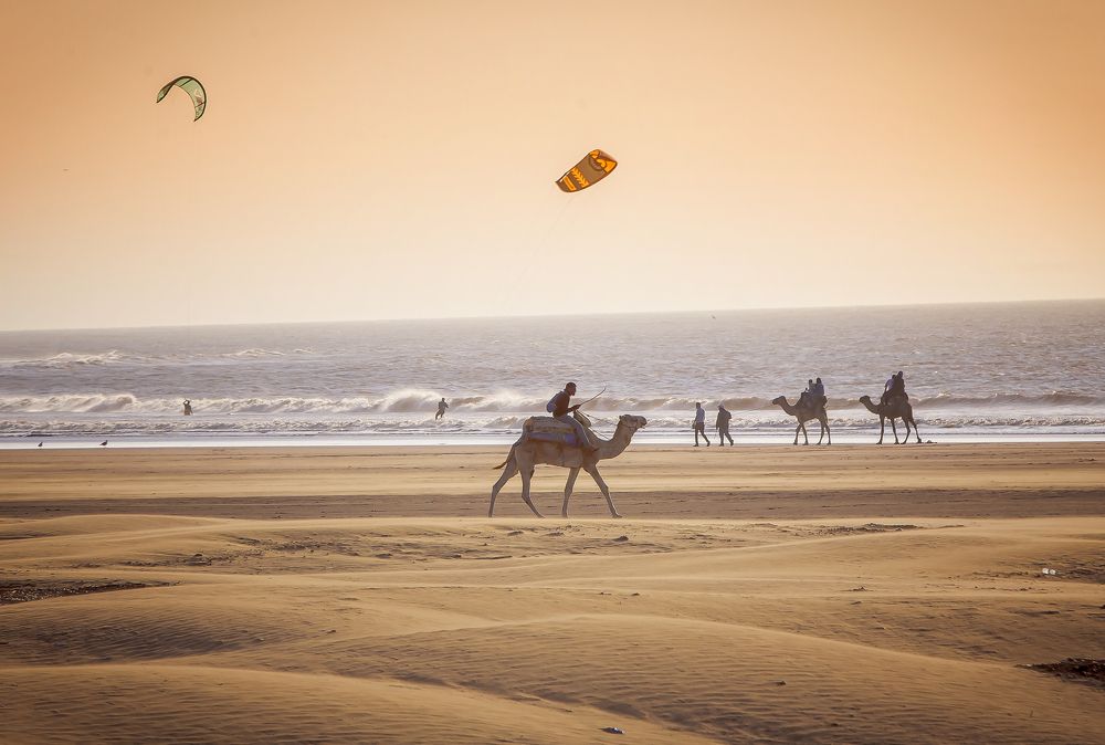 Under the Moroccan sun