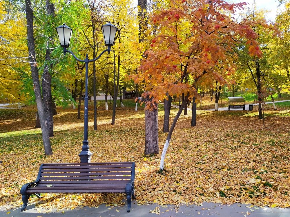 Photograph by Александр Коркин