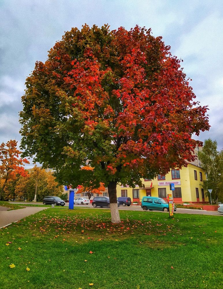 Photograph by Олеся Бронзова