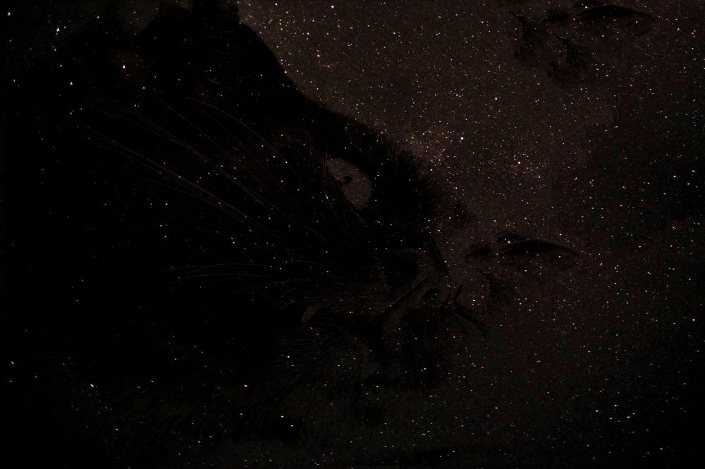 Photograph by Sandor Zoltan Gal