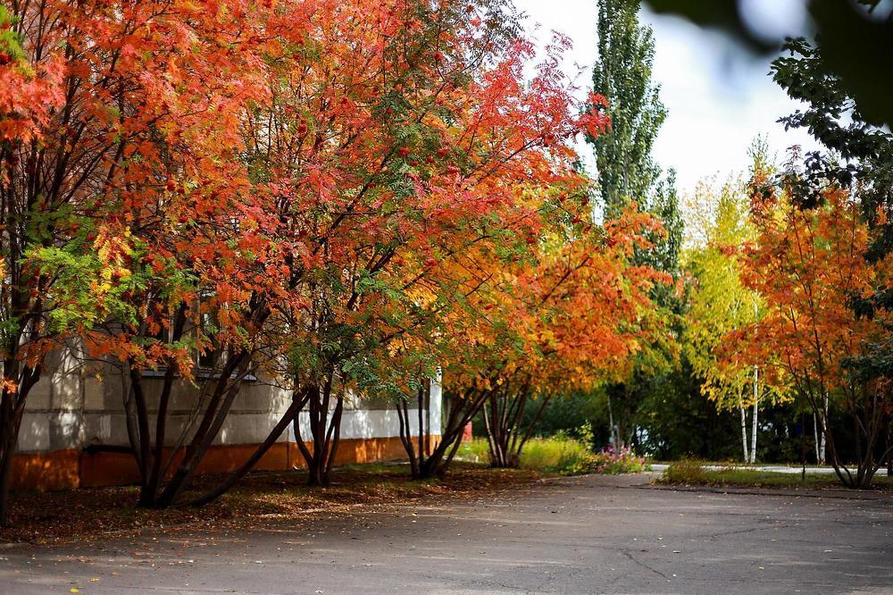 Фотография автора Светлана Дубина