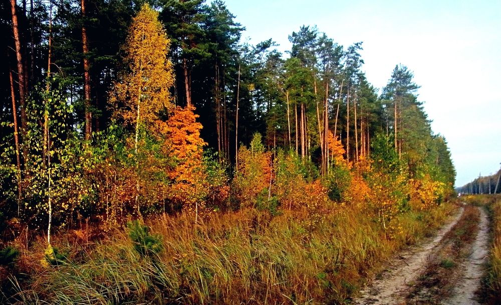 Photograph by леонид натапов