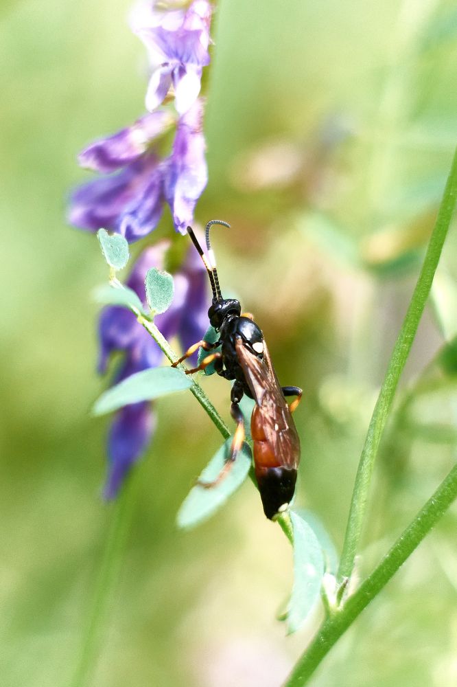 Photograph by Андрей Мольков