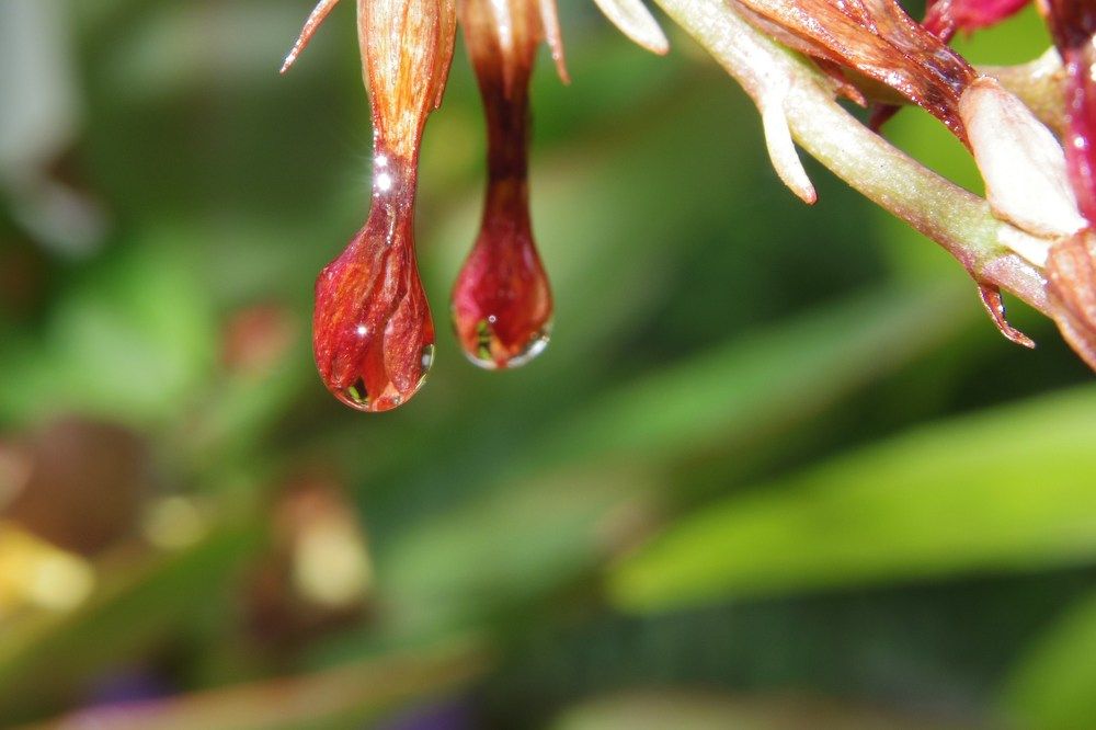 Photograph by Josue Rosales