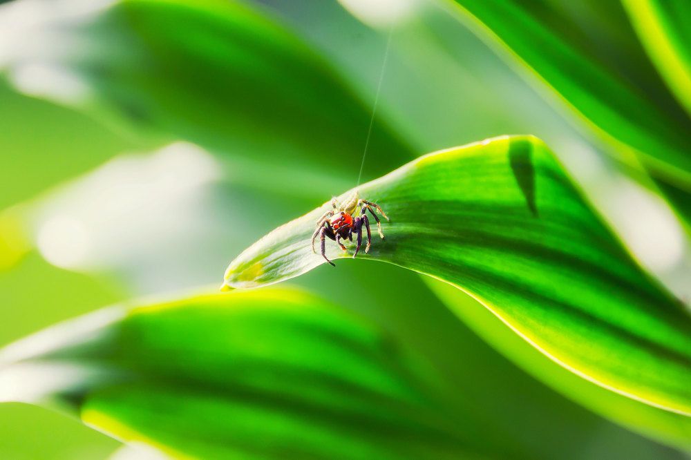 Photograph by Josue Rosales