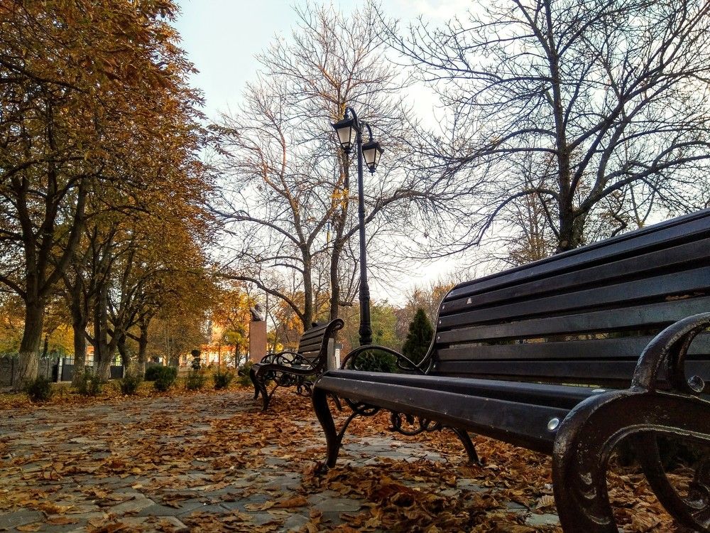 Photograph by Денис Лащ