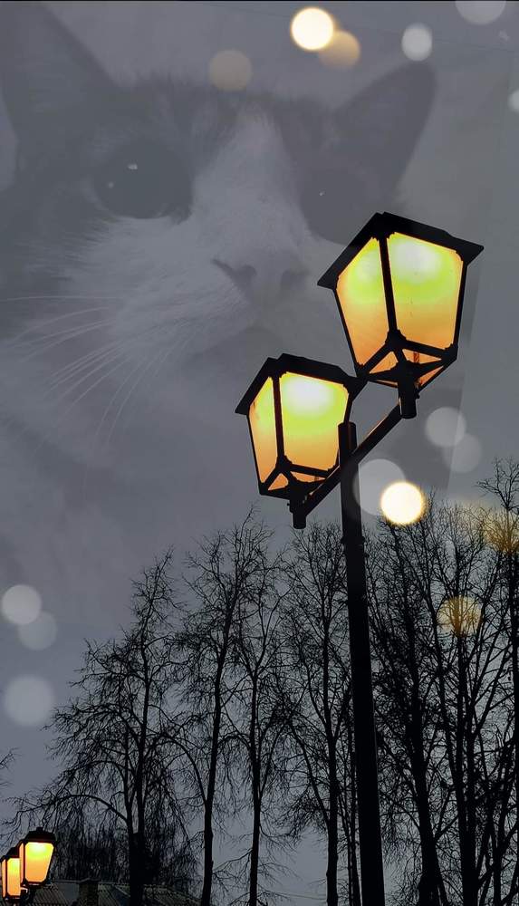 Photograph by Наталия Питолина