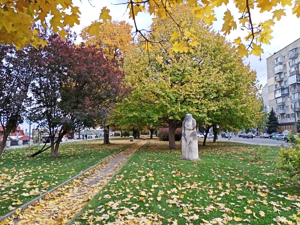 Photograph by Адамян Анна