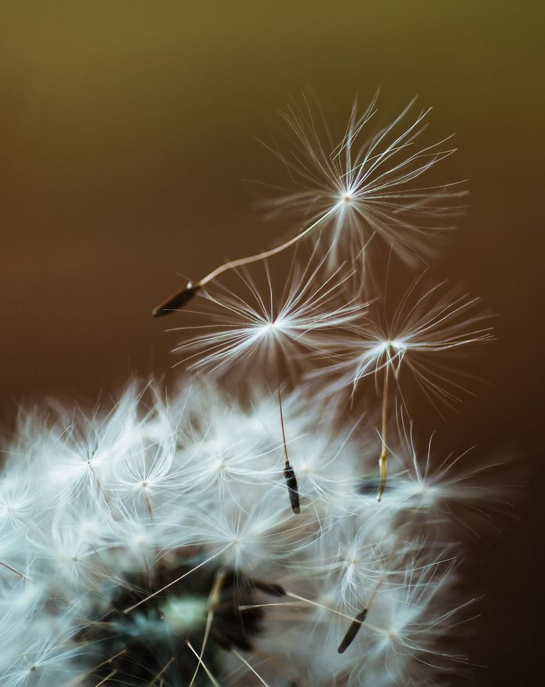 Photograph by Ксения Базарова