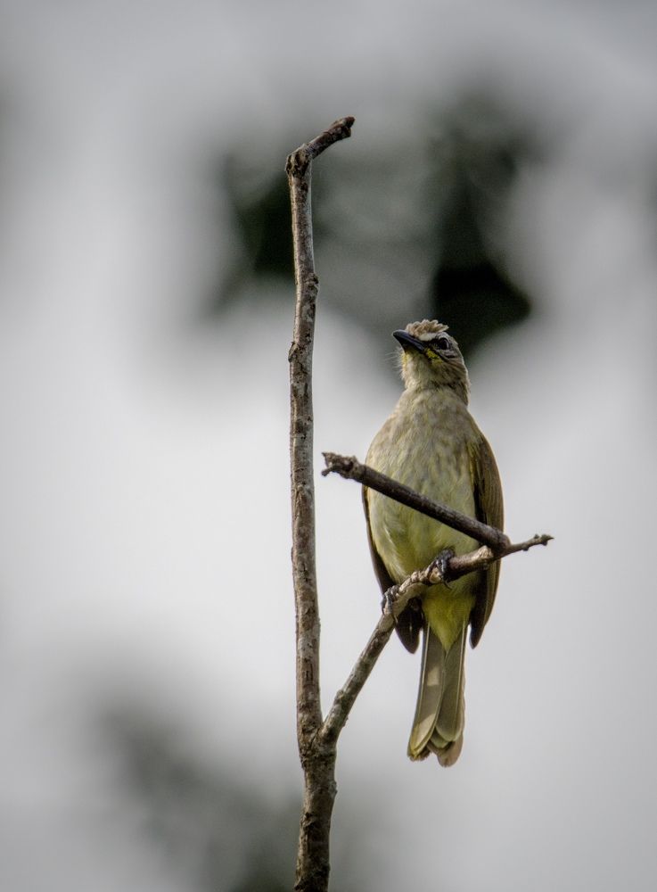 Photograph by Sandali Malalasekera