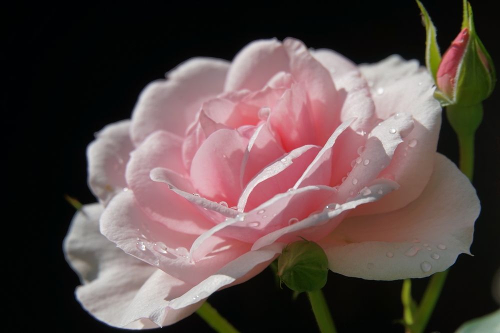 Photograph by Алексей Прохоров