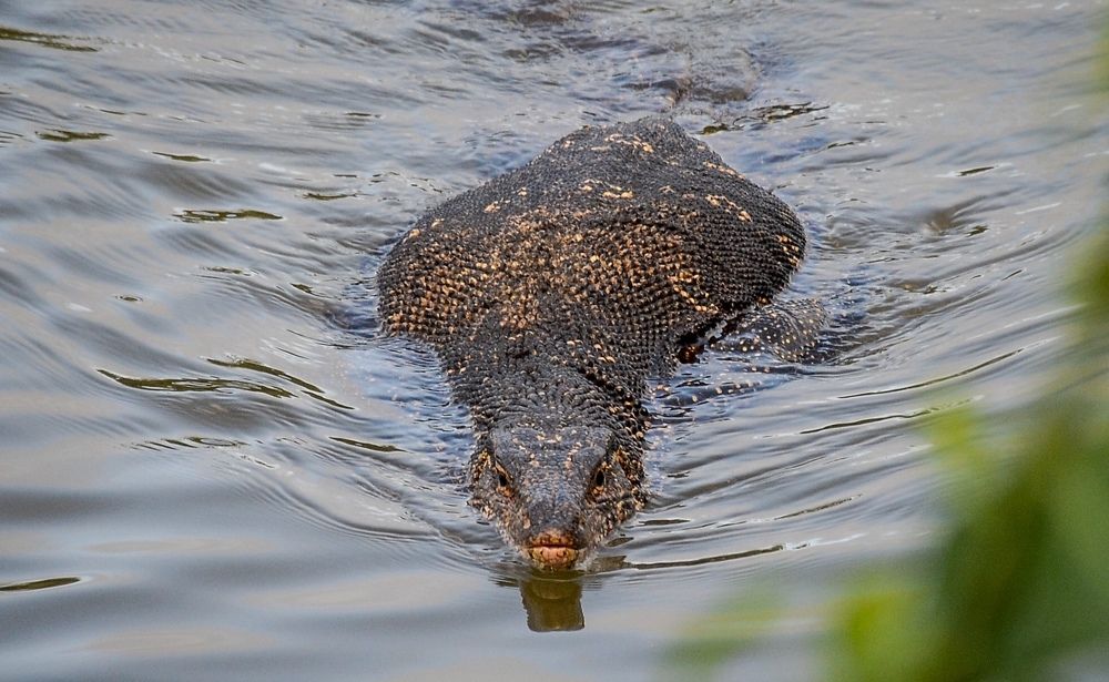 Photograph by Sandali Malalasekera