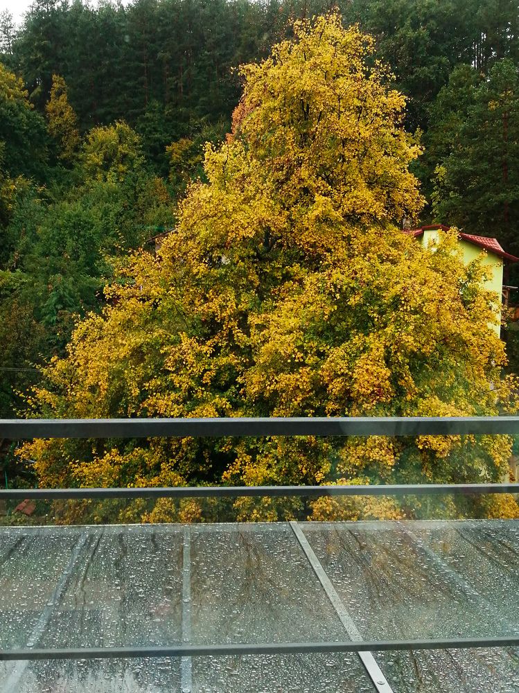 Photograph by Vessella