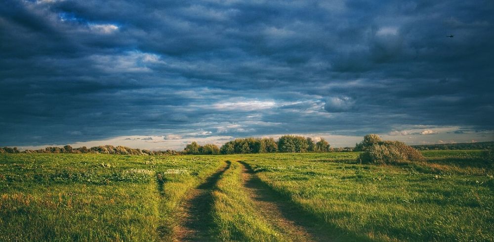 По дороге к Храму Покрова на Нерли. Посёлок Боголюбово, Владимирская область