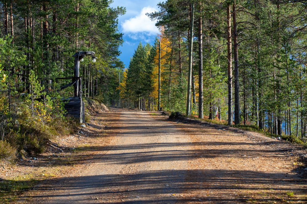 Photograph by Роман Дудкин