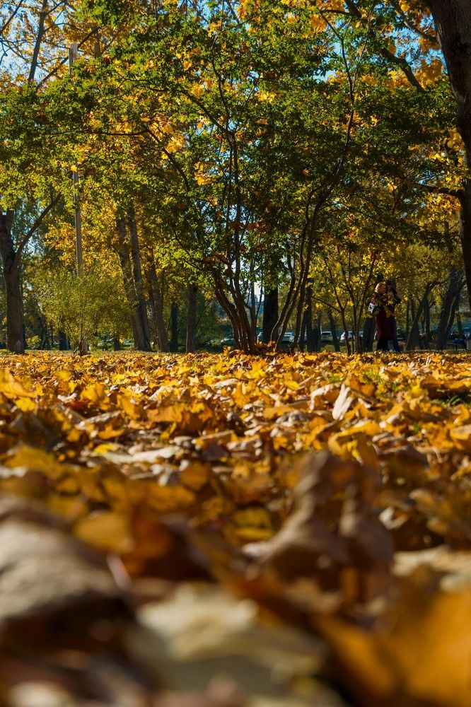 Photograph by Pavel Morozov