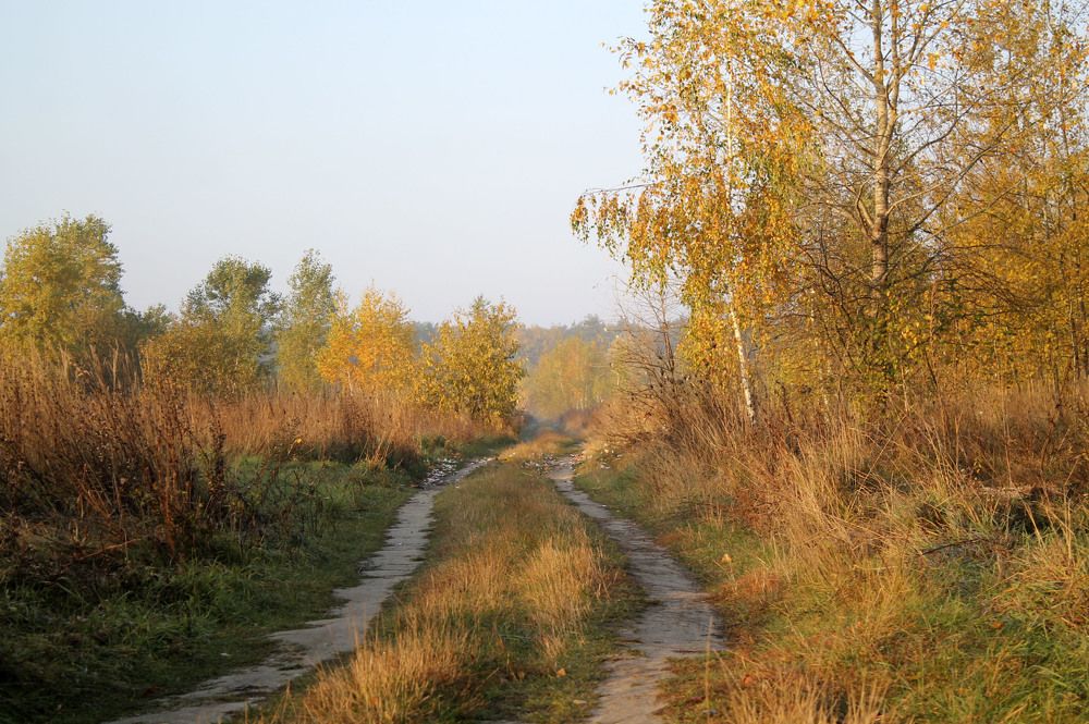 Фотография автора Елена Шатило