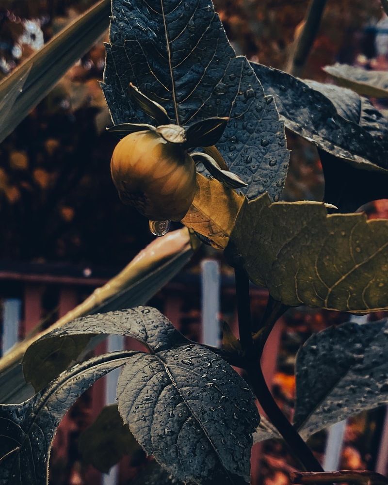 Photograph by Елизавета Эргашева