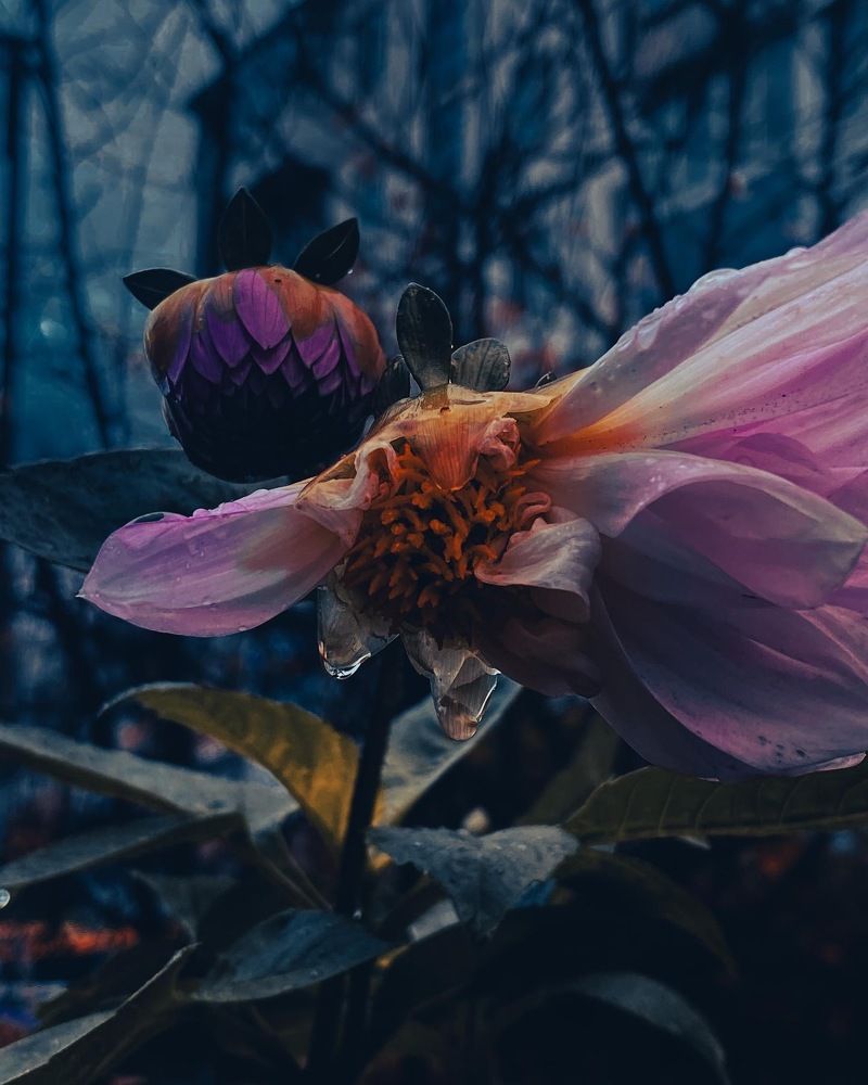 Photograph by Елизавета Эргашева