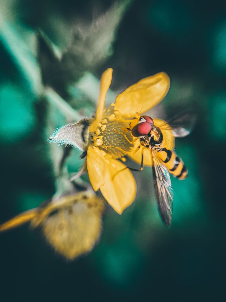 Photograph by Елизавета Эргашева