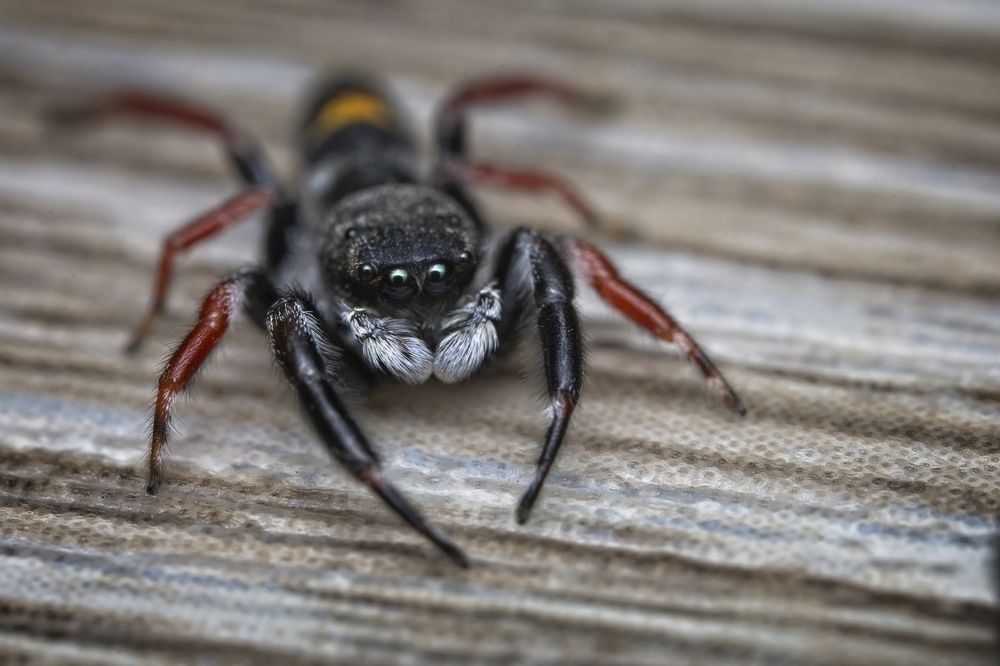 Photograph by Jason Walters