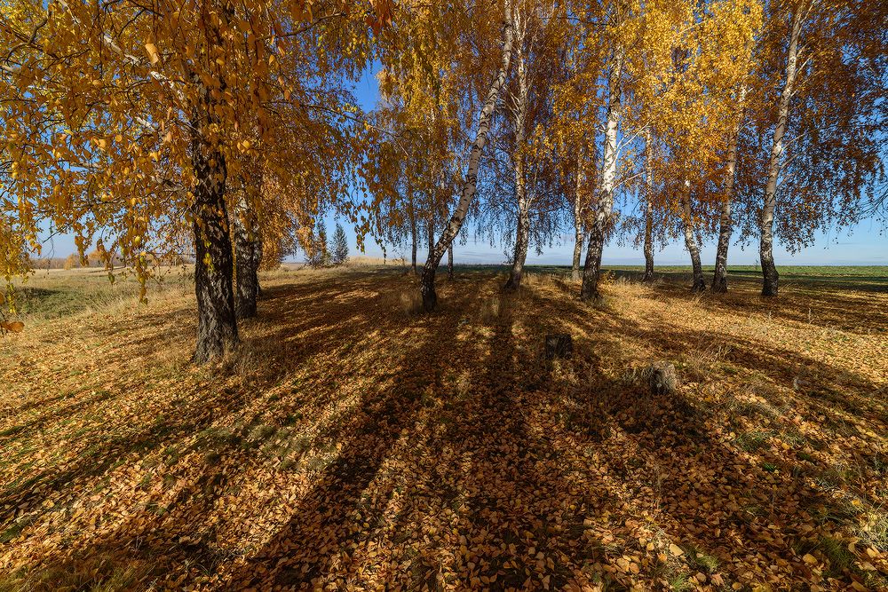 Фотография автора Влад Шерман