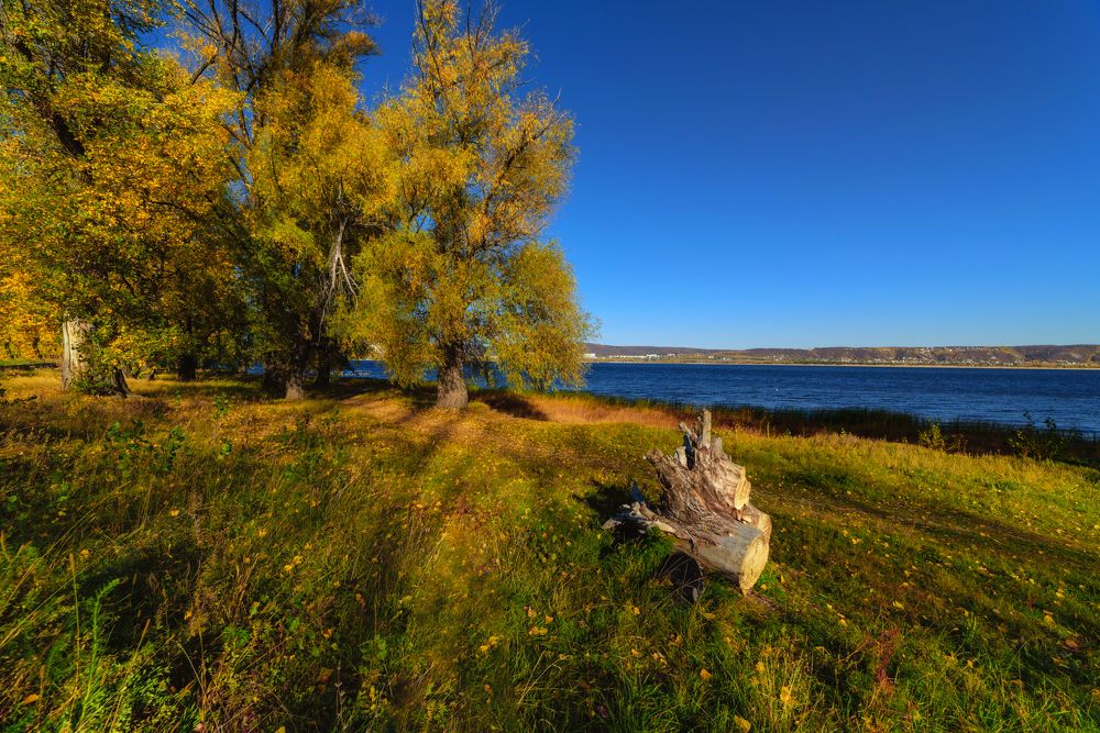 Фотография автора Влад Шерман