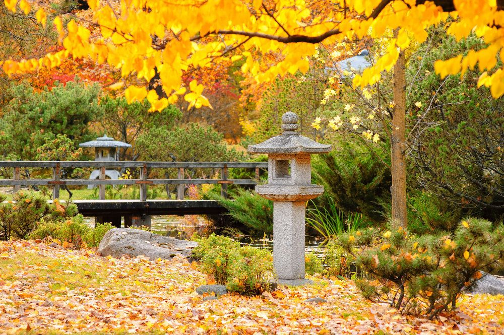 Photograph by Alexander Coin