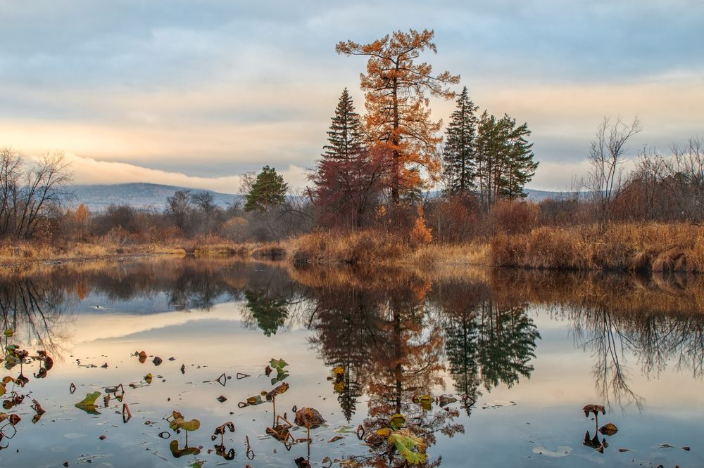 Photograph by Вячеслав Болякин
