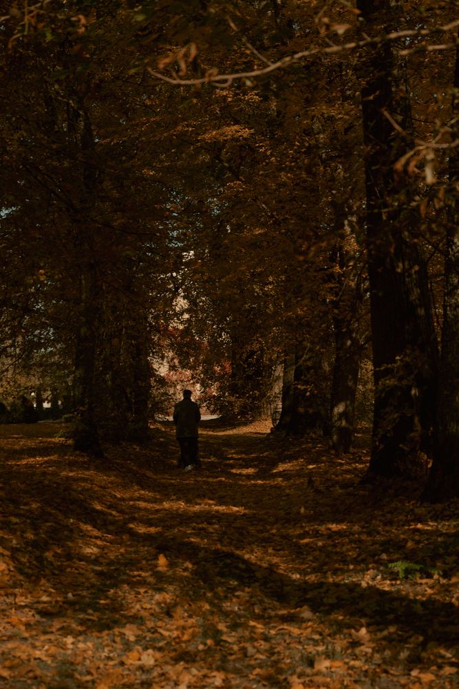 Photograph by Дарья Мицкевич