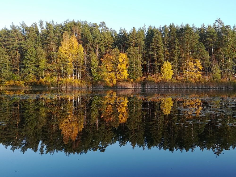 Photograph by Светлана Батурова