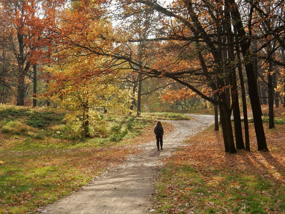 Photograph by Елена Гуляева