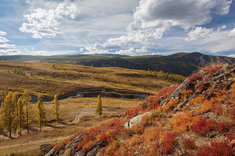 Осенняя палитра Алтая