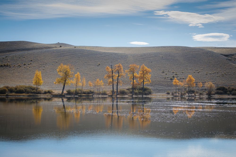 Утренняя безмятежность