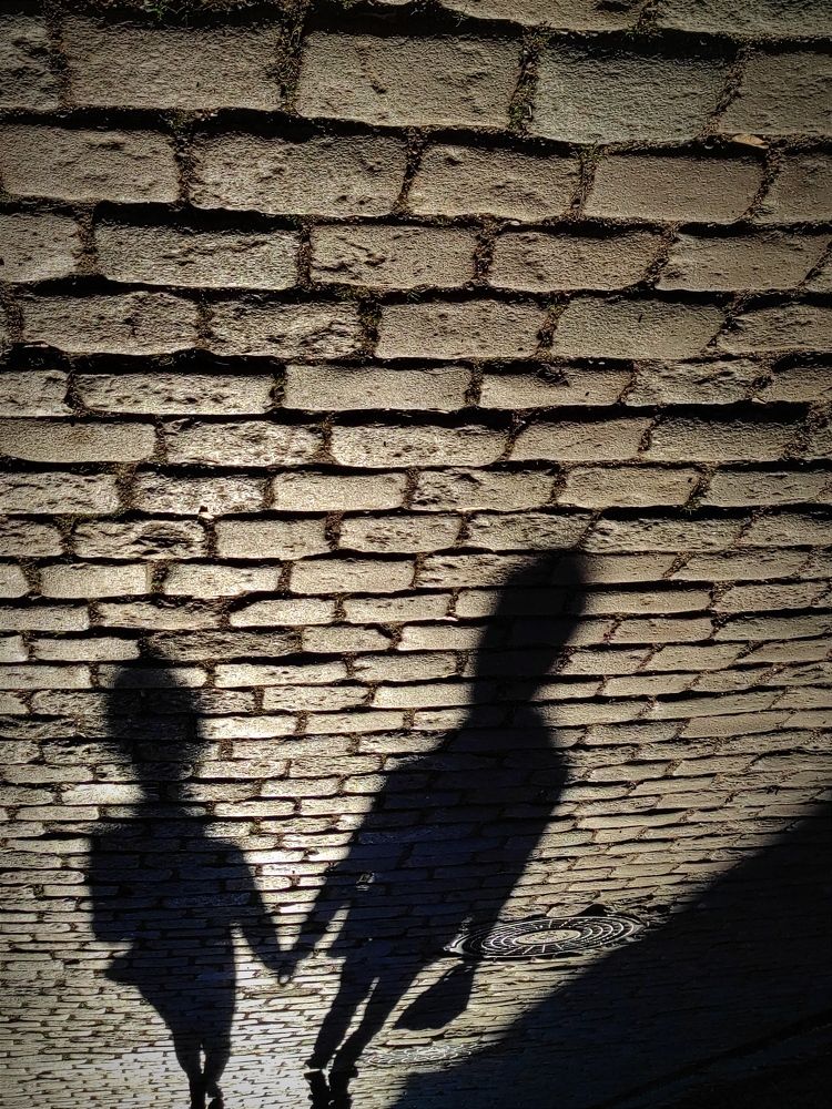 Photograph by 