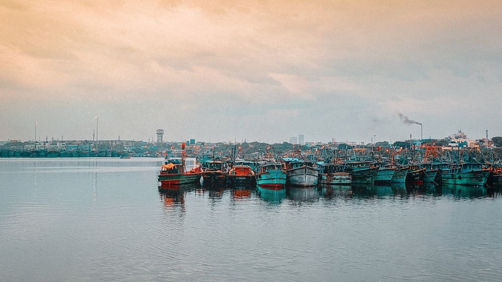 Photograph by Mohamed Aksham