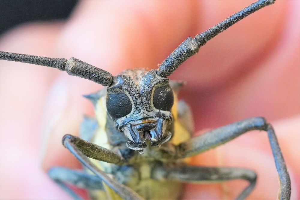 Photograph by Tamir Mor