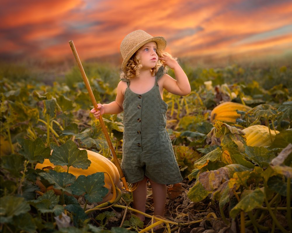 In the pumpkin field
