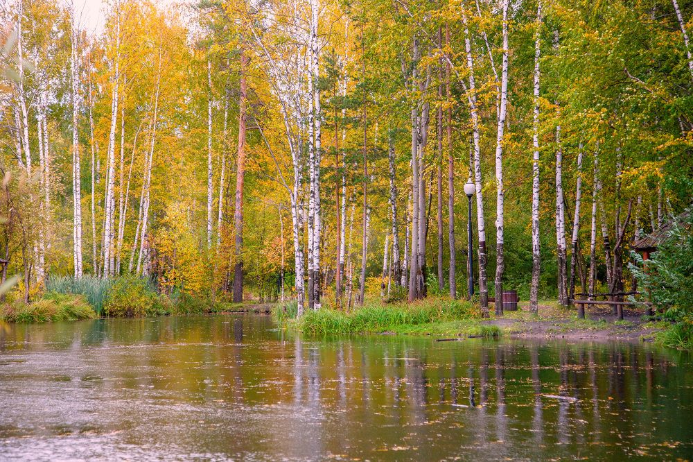 Фотография автора Альбина Кадочникова