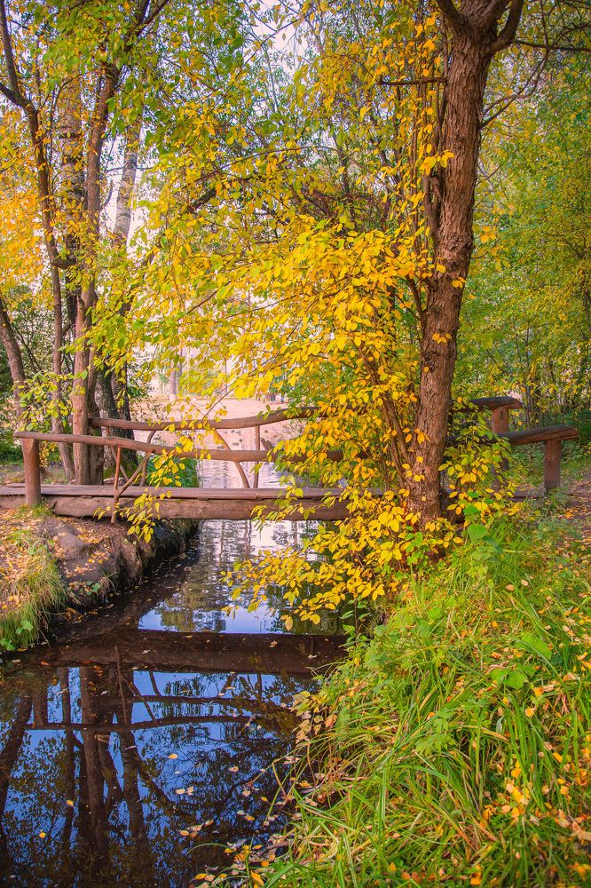 Фотография автора Альбина Кадочникова