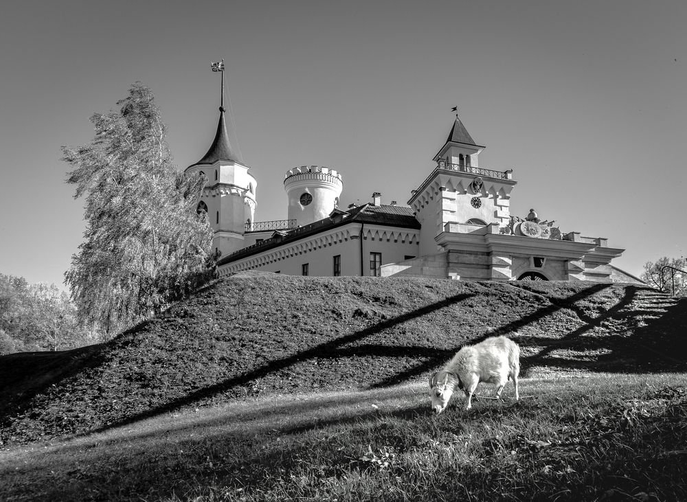 В гостях у сказки.