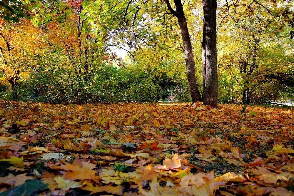 Photograph by Юрий Варюхин