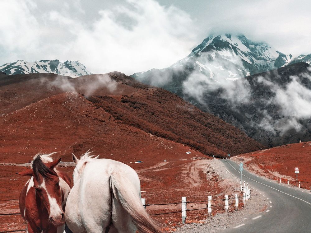 Photograph by Lika Arobelidze