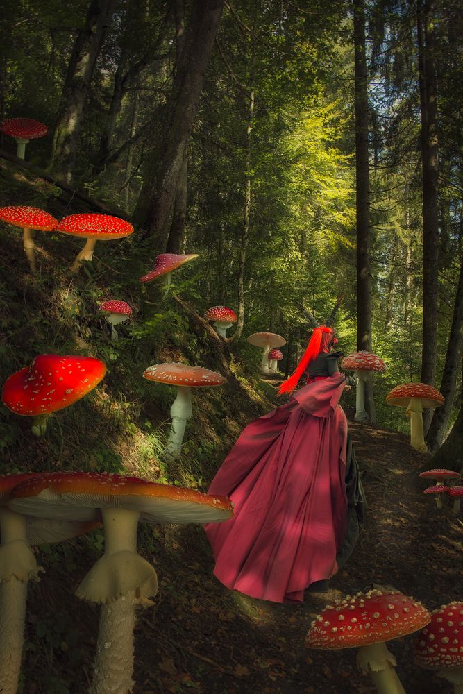 Фотография автора Оксана Морозюк