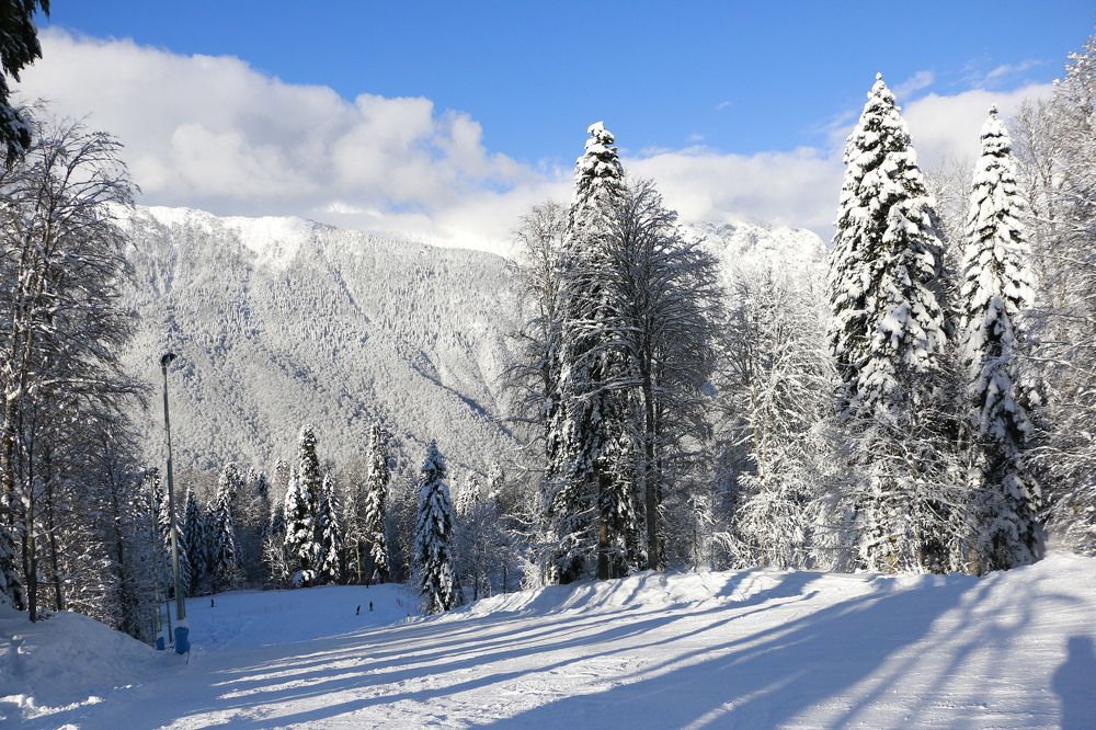 Photograph by Виталий